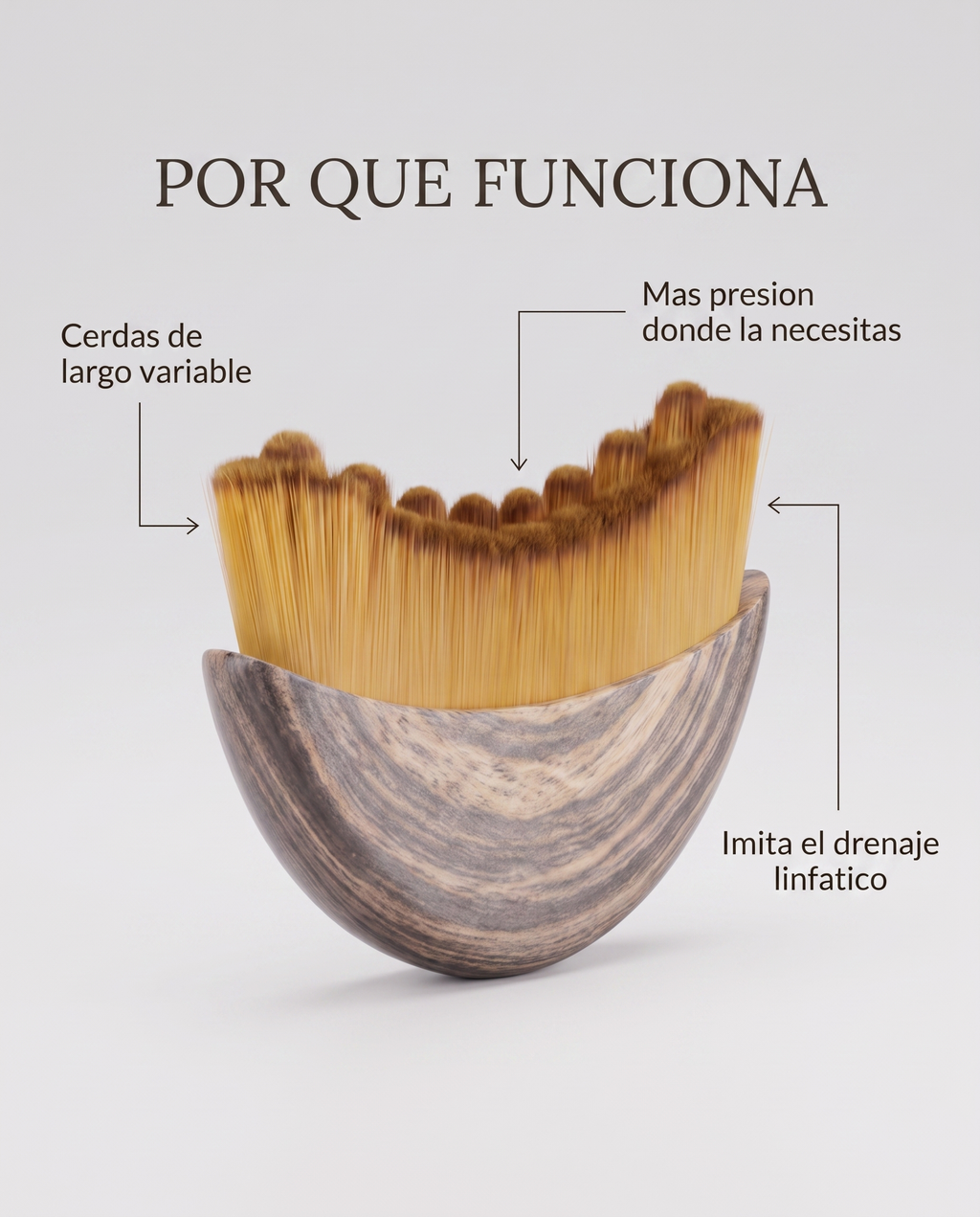Mecanismo de drenaje linfatico